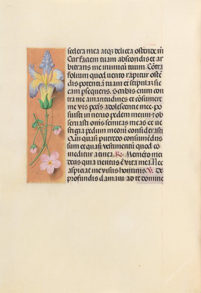 Izabella katolikus királyné, spanyol királynő órái: Fol. 237v, c. 1500. alkotó: Master of the First Prayerbook of Maximillian