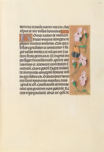 Izabella katolikus királyné, spanyol királynő órái: Fol. 238r, c. 1500. alkotó: Master of the First Prayerbook of Maximillian