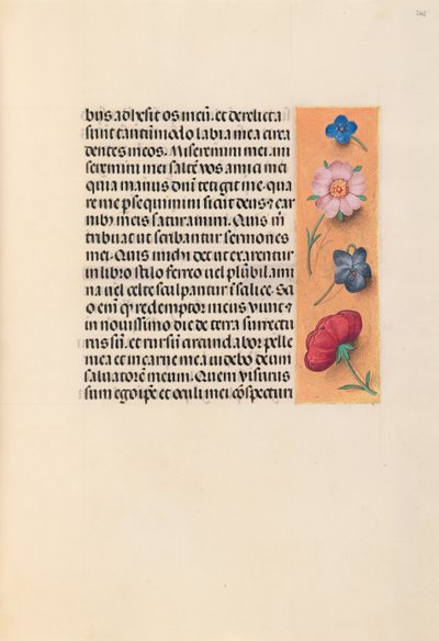 Izabella katolikus királyné, spanyol királynő órái: Fol. 245r, c. 1500. alkotó: Master of the First Prayerbook of Maximillian