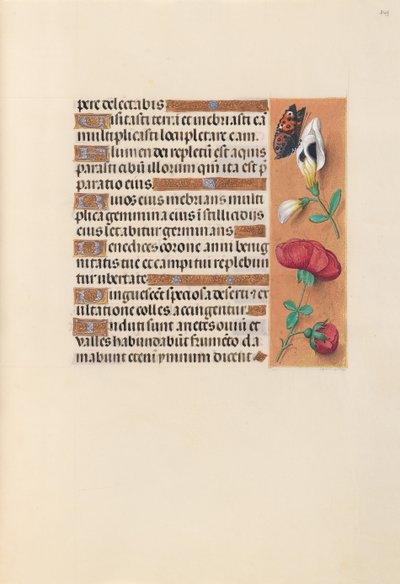 Izabella katolikus királyné, spanyol királynő órái: Fol. 249r, c. 1500. alkotó: Master of the First Prayerbook of Maximillian