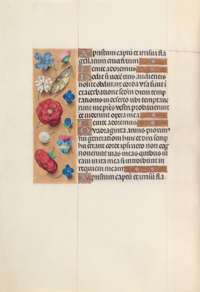 Izabella katolikus királyné, spanyol királynő órái: Fol. 51v, c. 1500. alkotó: Master of the First Prayerbook of Maximillian