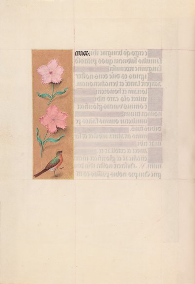 Izabella katolikus királynő, Spanyolország királynőjének órái:  Fol. 56v alkotó: Master of the First Prayerbook of Maximillian