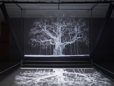 Albion, 2017 (projektor, médialejátszó, állványzat, átlátszó fólia, fa, festék, tükör, feszítő kellékek) alkotó: Mat Collishaw