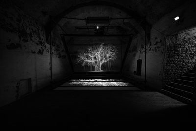 Albion, 2017 (projektor, médialejátszó, állványzat, átlátszó fólia, fa, festék, tükör, feszítő kellékek) alkotó: Mat Collishaw