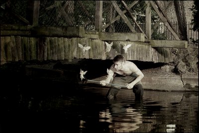 Tündérek elkapása 4 alkotó: Mat Collishaw