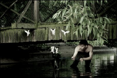 Tündérek elkapása 6 alkotó: Mat Collishaw