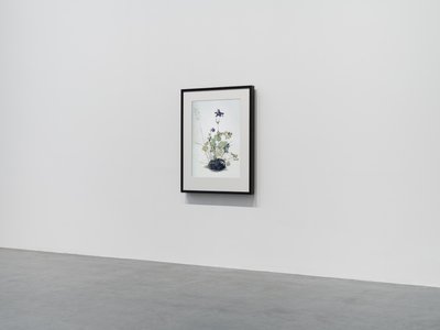 Columbine, 2018 (Fakeret, szegély, LCD képernyő, ventilátor és médialejátszó) alkotó: Mat Collishaw