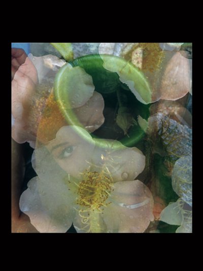 Hústüzelők 2 alkotó: Mat Collishaw