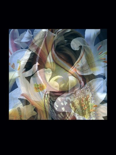 Hústüzelők 3 alkotó: Mat Collishaw
