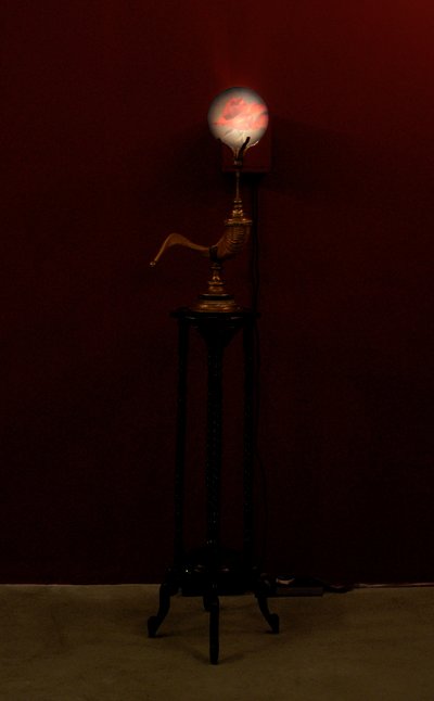Kürtfúvó, 2002 (Üveg, víz, réz, koskürt, fa, videoprojektor és lejátszó) alkotó: Mat Collishaw