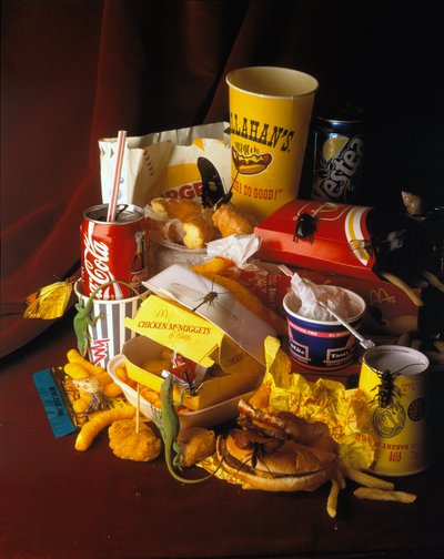 Natura halál 2 alkotó: Mat Collishaw
