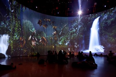Sordid Earth, 2011 (Videoinstalláció, merevlemez, szilikon, acél) alkotó: Mat Collishaw