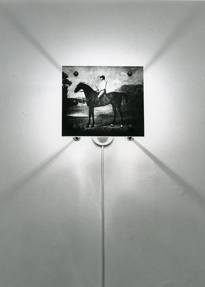 Stubbs lovak alkotó: Mat Collishaw