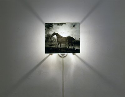 Stubbs lovak alkotó: Mat Collishaw