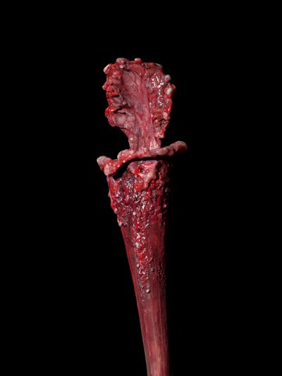 The Venal Muse, Fenside, 2012 (gyanta, zománcfesték, fa, üveg, acél) alkotó: Mat Collishaw