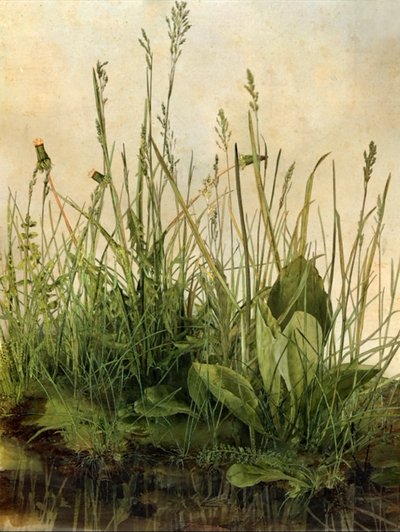 Whispering Weeds, 2011 (fakeret, szegély, LCD képernyő, ventilátor és merevlemez) alkotó: Mat Collishaw