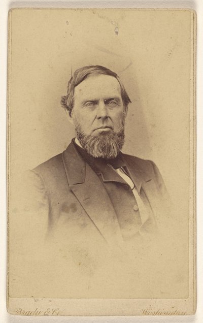 [Azonosítatlan szakállas férfi, vignettastílusban nyomtatva] alkotó: Mathew B. Brady