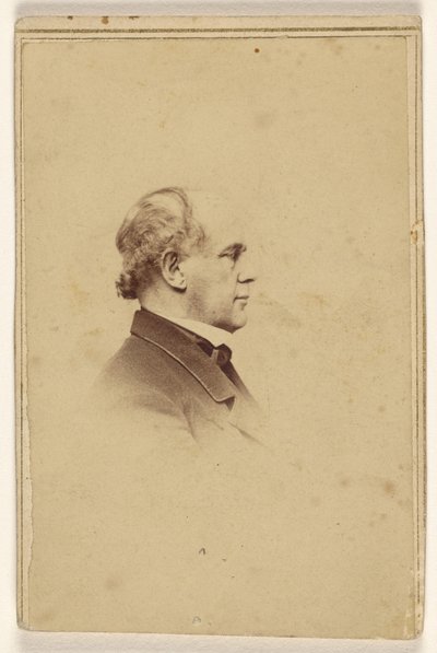 [Azonosítatlan férfi profilból, vignettastílusban nyomtatva] alkotó: Mathew B. Brady