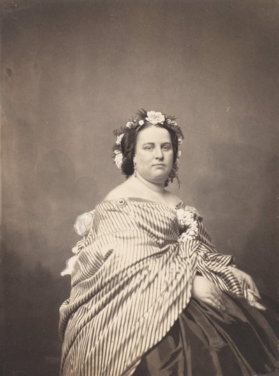 Még mindig káosz? 1857. alkotó: Mathew Brady