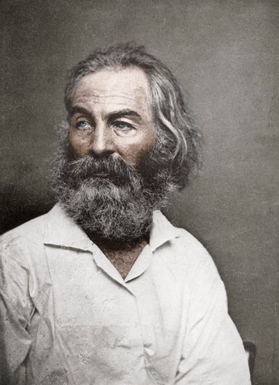 Walt Whitman amerikai költő, 1880-as évek. alkotó: Mathew B. Brady