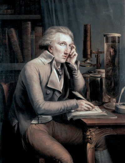 Georges Leopold Cuvier portréja alkotó: Mathieu Ignace van Bree