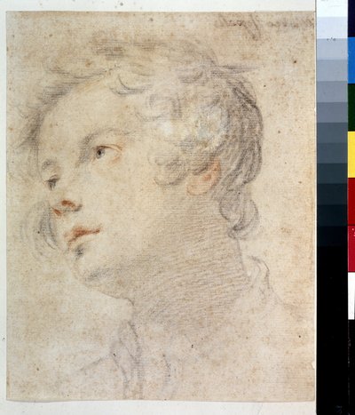 Egy fiú feje. Matteo Rosselli (1578-1650) festménye. Kréta és piros kréta papíron alkotó: Matteo Rosselli