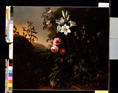 Csendélet, 1670 körül (olaj, vászon) alkotó: Matthias Withoos