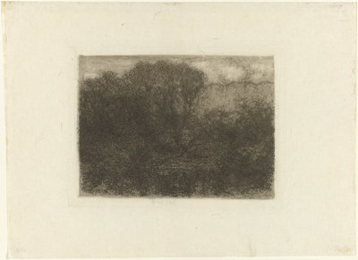 Erdő-tó alkotó: Matthijs Maris