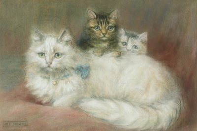 Egy perzsamacska és cicái alkotó: Maud D. Heaps