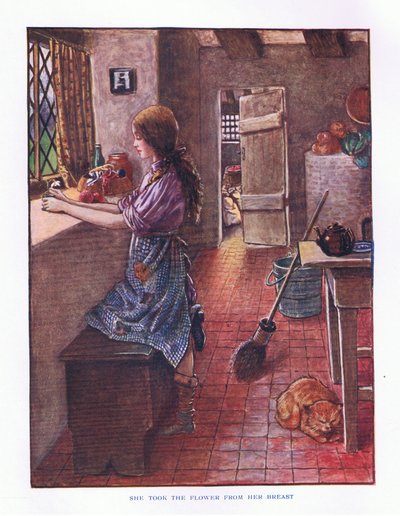 Levette a virágot a melléről, illusztráció a Lady And Fairy Tales, 1914-ből alkotó: Maud Tindal Atkinson