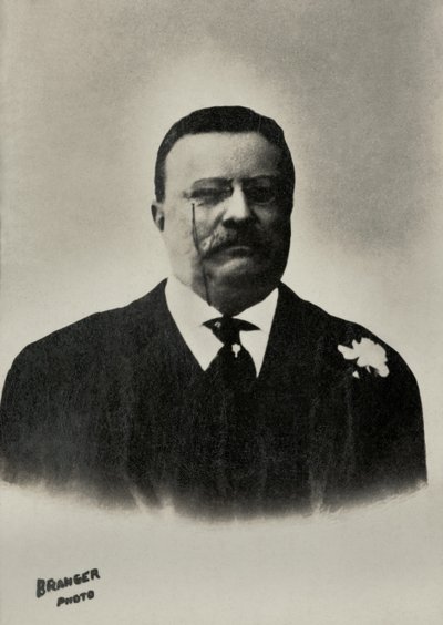 Theodore Roosevelt portréja az Egyesült Államok elnöke ( 1858) alkotó: Maurice-Louis Branger