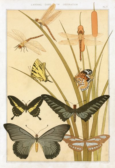 Pillangók, Maurice Pillard Verneuil „L