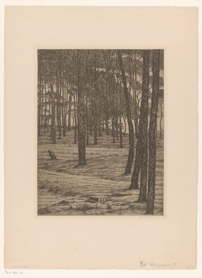 Dennenbosch I (eredeti cím a tárgyon) Bos (eredeti cím) alkotó: Maurits van der Valk (signed by artist)