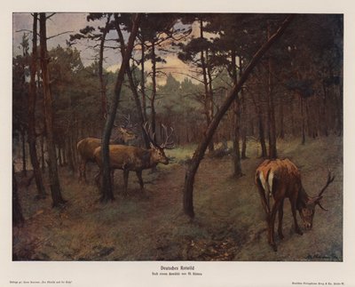 Német gímszarvas (színes litográfia) alkotó: Max Hunten Hunten