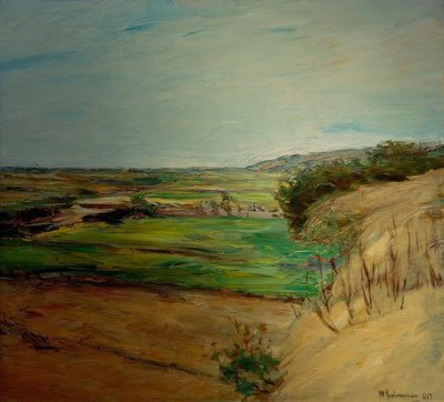 Dűne táj alkotó: Max Liebermann