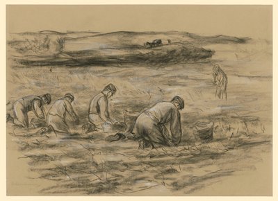 Krumpliföldművesek Zandvoortban alkotó: Max Liebermann