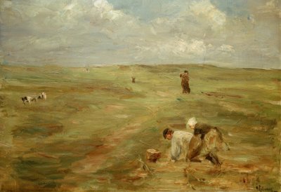 Burgonyaásók Zandvoort dűnéiben alkotó: Max Liebermann