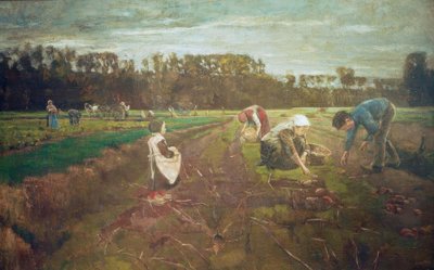 Kartoffelernte Barbizonban alkotó: Max Liebermann
