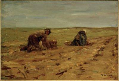 Burgonya betakarítás a dűnékben alkotó: Max Liebermann