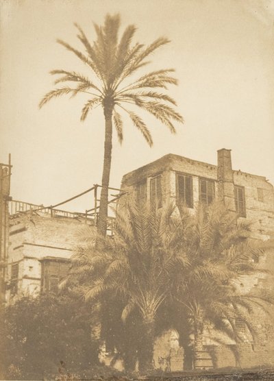 Datolyapálmák és Maison du Quartier Franc, Kairó, 1849. december – 1850. január. alkotó: Maxime Du Camp