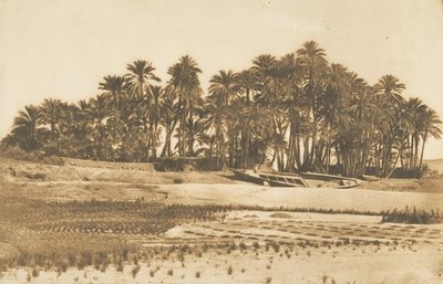 Kilátás az Elephantine-szigetre, Asszuánnal szemben, 1849-50. alkotó: Maxime Du Camp