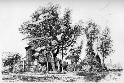 Az akácok, 1850-1895, 1924 alkotó: Maxime Lalanne