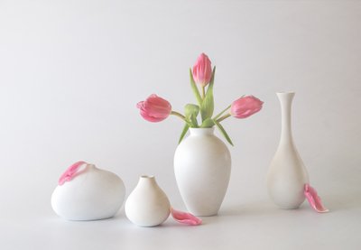 Rózsaszín tulipánok vázákban alkotó: May G