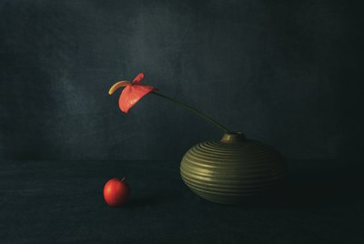 Vörös anthurium csendélet alkotó: May G