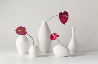 Nyugodt hangulatú anthurium-kompozíció alkotó: May G