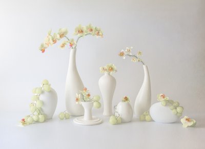 Nyugodt hangulatú orchidea-kompozíció alkotó: May G