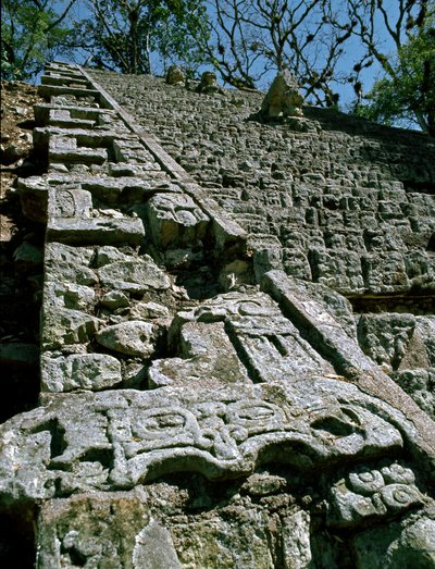 Kilátás a hieroglif lépcsőre, i.sz. 743 alkotó: Mayan