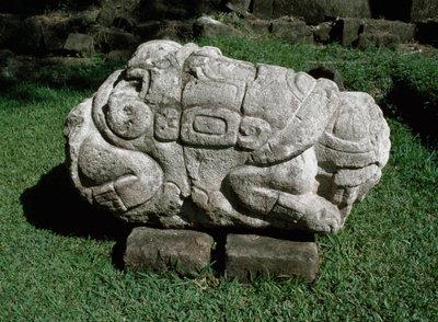 Egy gres-tömbbe faragott zoomorf oltár alkotó: Mayan