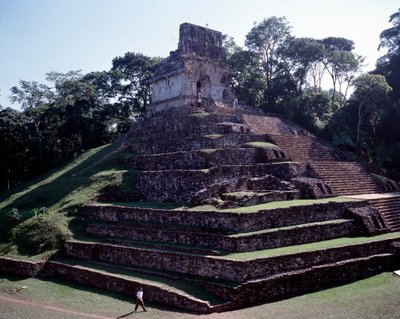 Kolumbiai előtti civilizáció: kilátás Palenque helyére a Chiapas klasszikus maja korszakában alkotó: Mayan Mayan