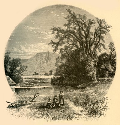 Northampton Meadows, 1874. alkotó: Meeder and Chubb